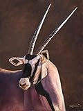James Corwin Gemsbok Gem - Limited Edition African Gemsbok Contemporary Wildlife Art - Giclee Print Oryx Safari Jungle Home Decor (30x40)