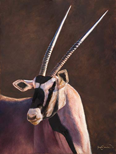 James Corwin Gemsbok Gem - Limited Edition African Gemsbok Contemporary Wildlife Art - Giclee Print Oryx Safari Jungle Home Decor (30x40)