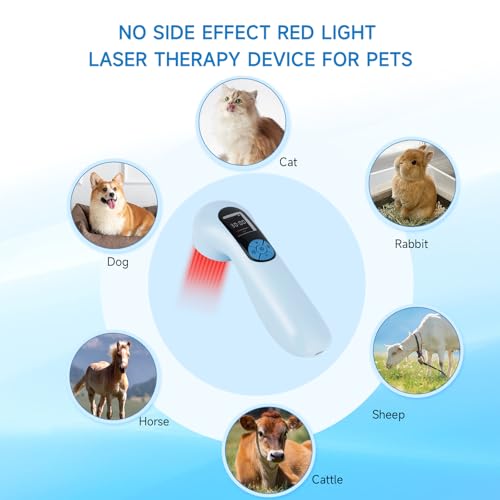 Dispositivo profissional de terapia a laser frio de 5000 mAh para cães lllt máquina de terapia de lu