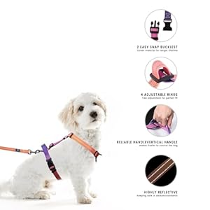 RosesPoetry-Small-Dog-Harness-and-Leash-Set-No-Pull-Dog-Harness-Adjustable-Reflective-Dog-Halter-Harnesses-Comfort-Padded-Handle-Pet-Harness-for-Training-Outdoor-WalkingMistyrose-S - Cucciolini Doodles   RosesPoetry-Small-Dog-Harness-and-Leash-Set-No-Pull-Dog-Harness-Adjustable-Reflective-Dog-Halter-Harnesses-Comfort-Padded-Handle-Pet-Harness-for-Training-Outdoor-WalkingMistyrose-S