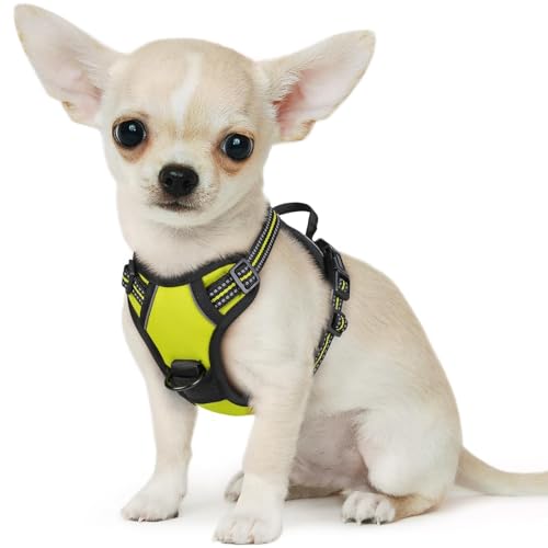 Image of Eagloo Dog Harness for Small Dogs, No Pull Pet Vest with 2 Leash Clips