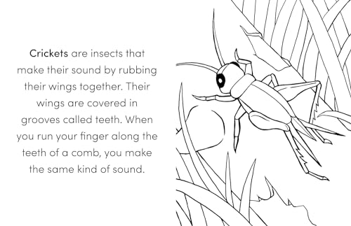 Coloring Book Box Set: 3 Books for Coloring Fun and Awesome Facts about Dinosaurs,Bugs,and Wild Animals(Perfect Gift for Kids Ages 3-7) (A Did You Know? Coloring Book) - Image 6