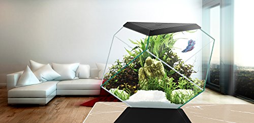 Askoll 280670 Nexus 5C Betta Life Black