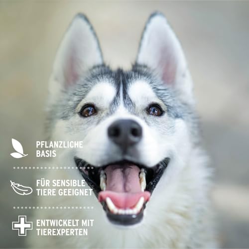 AniForte Sanfte Augenpflege 30ml - Augenreiniger für Hunde, Katzen & Kleintiere mit Augentrost, Augentropfen auf natürlicher Basis für das Augenumfeld