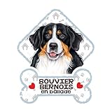Made in EU. power gift Bouvier Bernois - Panneau pour Pare-Brise avec Ventouse– Mon Chien est à Bord. Plaque signalétique pour Tous Type véhicule. Chien à Bord, en Ballade, on Tour.