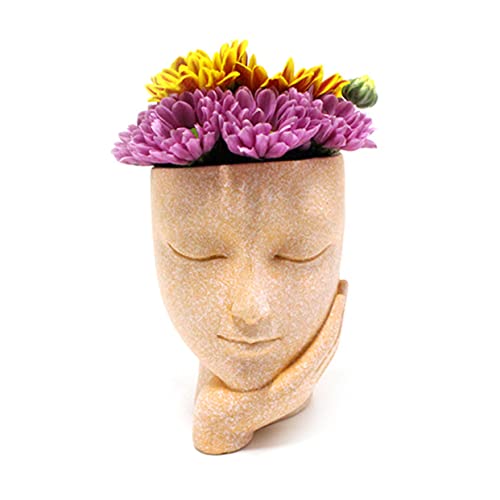 Pot de fleur visage mignon en lot de 2, cadeau déco idéal - 8