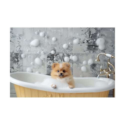Cuadro de cachorro Pomerania en bañera para llenar de alegría tu baño