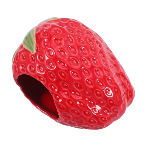 Toyvian 킢퐻nX^[̉BƁFC`SF̏̐nAybgnEXAAP[WAbgpNb^[oXnEX