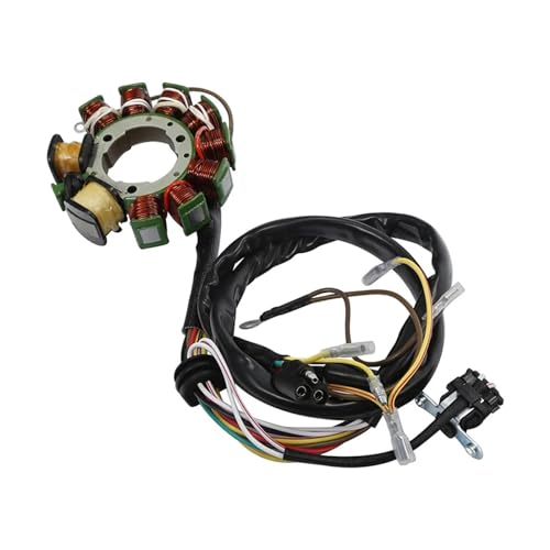 Stator d'allumage magnétique pour véhicules tout-terrain Magnum 425 6x6