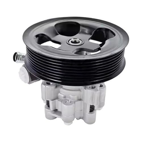 WBXCBER Auto Power Steering Pump Compatible for Car LANDROVER QVB500400 LR006613 LR006613