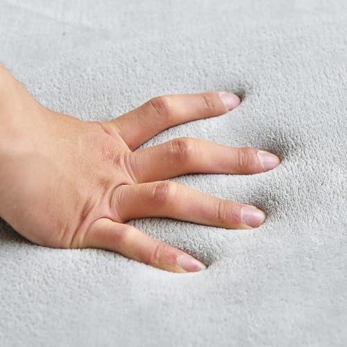 Tapis de couchage pour chiens grand format vert dans le salon de la maison - 4
