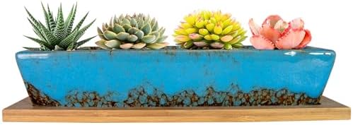 Artketty 24,8 cm große Keramik-Sukkulenten-Übertöpfe, modern, lang, rechteckig, mit Bambus-Tabletts, Mini-Kaktus-Bonsai-Fensterkasten mit Drainage, für Innen- und Außenbereich, Hei