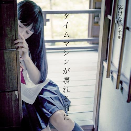 タイムマシンが壊れる前に [LP:生産限定盤] [Analog]