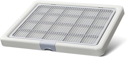 DancJuliegCgC  ω׏d60kg ~ߕt @sv юUh~ ybgV[cߖ gC gC X IX p (O[)