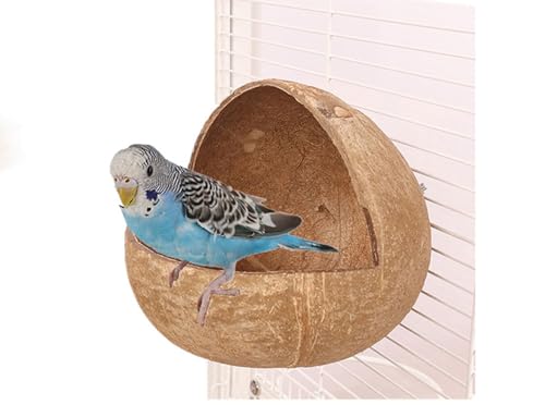 ISUPY ̃nEX RRibcM VRf ̉ B  IE CR nX^[ Q Vя P[WANZT[ (^CvA/ RRVt@Co[100gt)