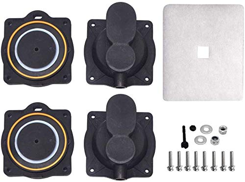 Rebuild Kit for 1/4 hp NuPulse / Hoegger / Gast vacuum pumps - Hamby