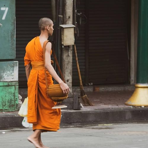 Ep. 532 Riflessioni sulla Urgenza Samvega