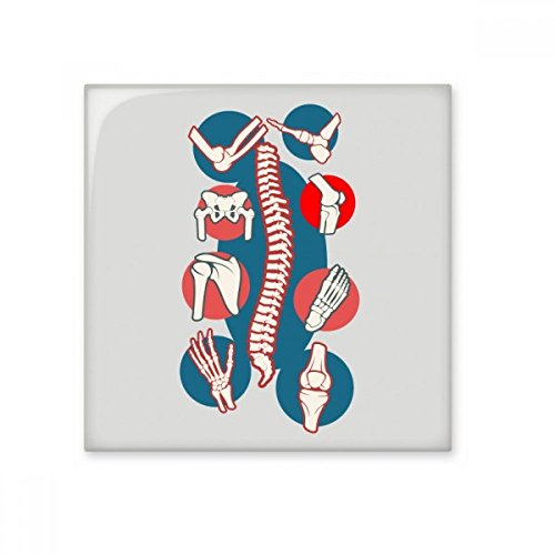 DIYthinker Cuerpo vertebral ilustración junta brillante baldosa cerámica de baño Cocina muro de piedra artesanal de regalo Decoración