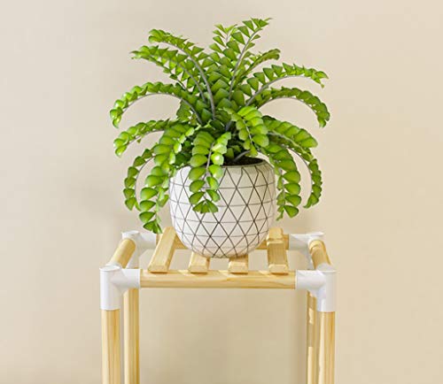 Xxjjdt Lyx Solid Wood Flower Stand Simple Flower Stand Simple Multi-Storey Floor Solid Wood Flower Stand Wooden Combination Living Room Indoor Balcony Flower Shelf #TOP2