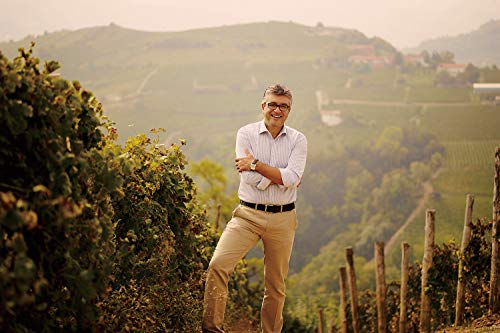 MARTINI マルティーニ ベリーニ 750ml