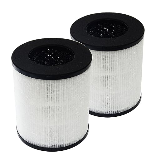 Filtres HEPA Tredy TD-1300 et Beaba par PUREBURG | Lot de 2