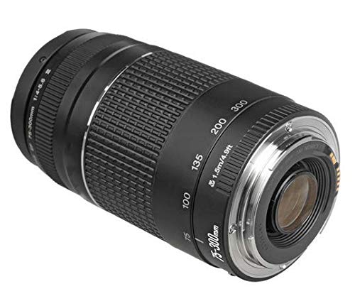 Canon EF 75-300mm f/4-5.6 III - Image 4
