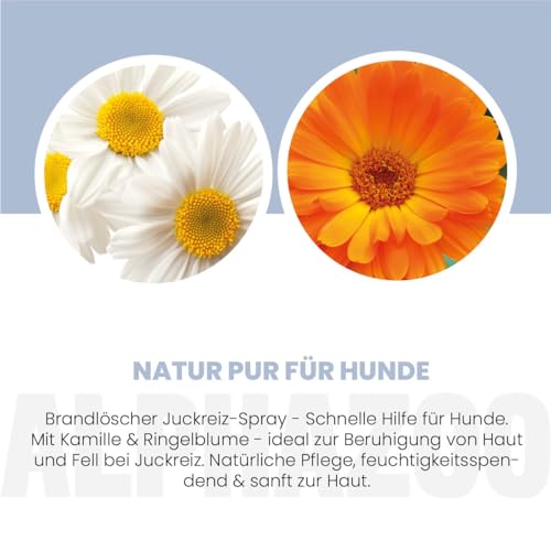 alphazoo Brandlöscher Anti-Juckreiz-Spray für Hunde 250 ml – mit Kamille & Ringelblume. Pflegendes Spray, Alkohol- & parabenfrei, zur Unterstützung empfindlicher Haut & zur Linderung von Irritationen
