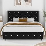 Lullabyre Queen Size Bed Frame, Upholstered Bed Frame with Diamond Tufted Headboard, Modern Silverside Wingback, No Box Spring Needed, Easy Assembly, Black