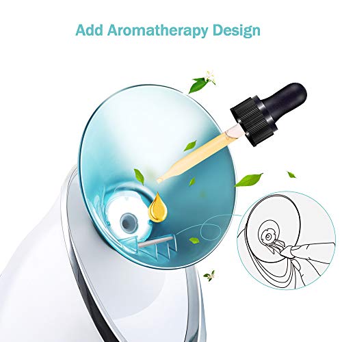 Facial Steamer EZBASICS Nano Ionic Face Steamer for Home Facial, Warm Mist Humidifier Atomizer for Face Sauna Spa Sinuses Moisturizing, Unclogs Pores, Bonus Stainless Steel Skin Kit(Blue)
