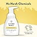 ECZEMA HONEY Gentle Foaming Hand Soap - Gentle Cleanser for Dry Hands - Non-Toxic Unscented Hand Soap - Natural Hand Cleaner for Bathroom & Kitchen - Organic Honey Handwash (8.4 Oz)