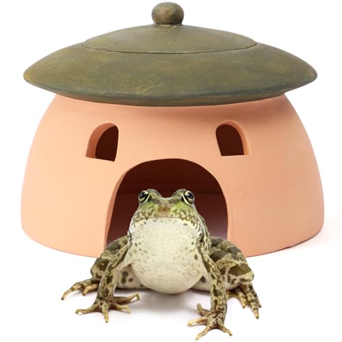 Tino Kino Frog and Toad House 8 x 6Inch Toad House for Outside Garden Reptile Cave Red Pottery Ceramics Small Reptile Cave Hide Reptile Hides and Caves Snake Toad Frog Turtle House Green with Lid