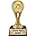 Crown Awards Soccer Trophies with Custom Engraving, 6" Personalized Gold Iconz Soccer Ball Trophy On Black Base