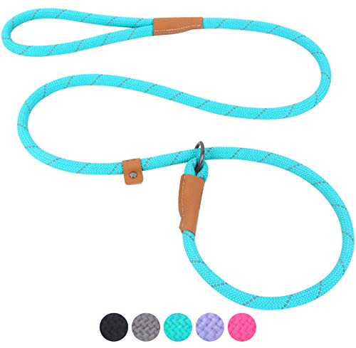 Pet's Company Slip Lead Dog Leash, Reflective Mountain Climbing Rope Leash, Dog Training