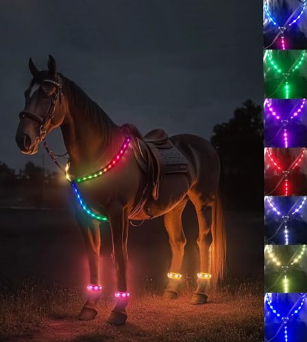 5pcs 7 Colors in 1 LED Horse Tack Set, USB Rechargeable Light up Breastplate Collar & Leg Band, Adjustable Equestrian Visble Safety Gear for Night Horse Riding