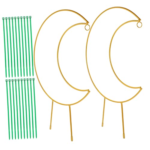 Abaodam Treillis de Jardin en Métal pour Plantes Grimpantes, Support Extérieur pour Pots 40x20 Cm, Forme Lune, 20 Attaches Vertes Résistantes au Vent, Tuteur pour Fleurs Style Aléatoire