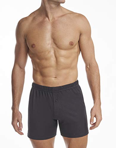 Stanfield's Men's Premium Cotton Knit Boxer, 2 Pack2