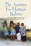 The Journey for Mama's Babies: A Long Island couple's journey to adopt four biological siblings from Russia