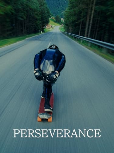 Perseverance