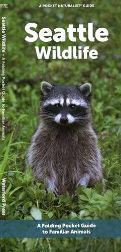 Seattle Wildlife (Nature Observation North America)
