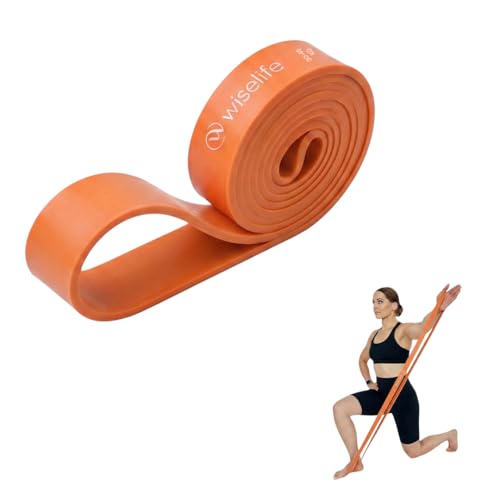 Image of WiseLife Resistance Power Band, Pull Up Bands, Pull Up Assistance Bands, Workout Bands, Exercise Bands, Resistance Bands for Legs, Working Out,Muscle Training,Pull Up Assist Upto 60 Kg (Orange)