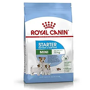 Royal Canin Mini Starter Granule Dog Food, Milk Flavour, 1kg