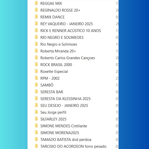 Pen Drive 32gb com Músicas Gravadas Com Vários Generos 3000 Músicas,160 Pastas : Sertanejo, Forró, P