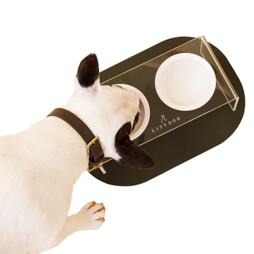 [citydog/VeBhbO] ANt[hX^h b  L ybg t[h{E H `}bg GTM GT  t[h {E {[ a     Vv  ^ ^ ^  S 