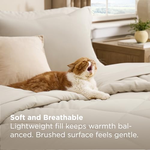 Image of Bedsure 5 Pieces Twin Comforter Set Premium Series, Hotel Luxury Soft Bed in a Bag, Goose Down Alternative, Safe for Sensitive Skin Bedding Comforter All Season Medium Warmth, Beige Twin Size