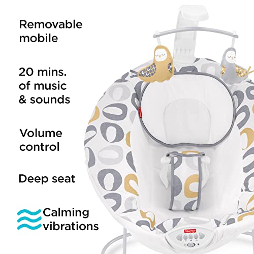 Fisher-Price-See-Soothe-Deluxe-Bouncer