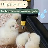 Küken Nager Hasen Kaninchen Hühner Geflügel Nippel Wasser Tränke Trinkflasche (500 ml) - 3