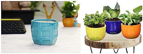 Image of Leafy Tales Urn Ceramic Pot, Multicolour, 3 Inch, 3 Pots, Urn Set 3 (Urn Set 3) Barrel Pot Ceramic, Aqua, 1pc (Barrel Aqua)