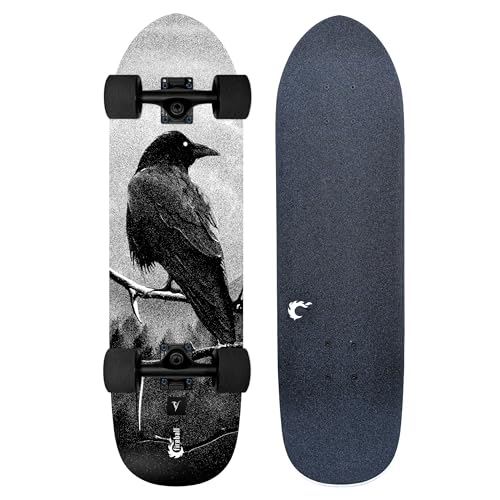 Fireball Mini Cruiser Longboard Skateboard Complete - Fully