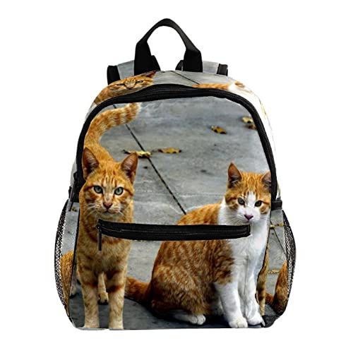 Mini sac à dos animal pour enfant de 3 à 8 ans idéal pour la maternelle