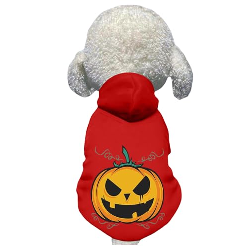 nEB ybg ybg RX`[ RXv  ̕ ̃nEBRX`[ g ʐ^B ʋC  J{` ͋C[J[ Halloween ˂ (bhC2XL)